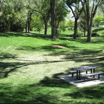 park image